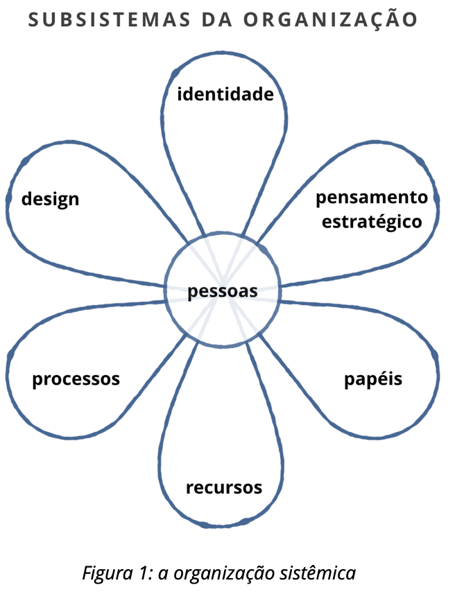 Figura 1: A Organização Sistêmica